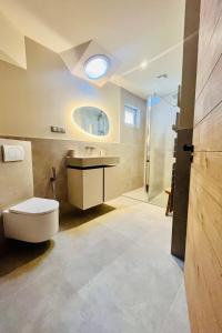 a bathroom with a toilet and a sink and a shower at Le Piano dans la Vigne in Barr +20 photos