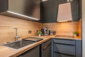 a kitchen with a sink and a counter top at Terrasse am Haff in Zirchow +26 photos