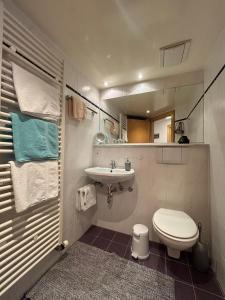 a bathroom with a toilet and a sink at Bergbauernhof Haug in Bad Hindelang +20 photos