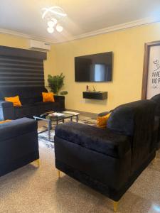 a living room with two couches and a flat screen tv at Max Heron, Gorgeous 2 Bedroom in Ikeja