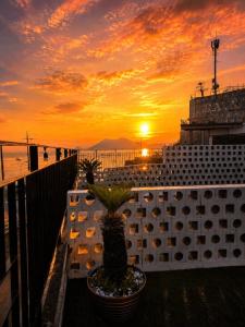 a sunset on a cruise ship with a potted plant at Raum Resort 1 in Suncheon