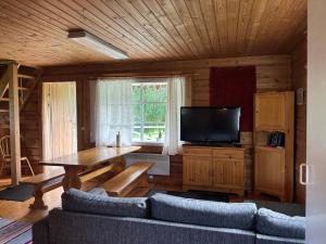 a living room with a couch and a television at Villa Metsätähti Punkaharjulla in Vuoriniemi