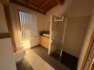 a bathroom with a shower and a toilet and a sink at Gîte de groupe et charmant cottage L'Agnel in Domaize +109 photos
