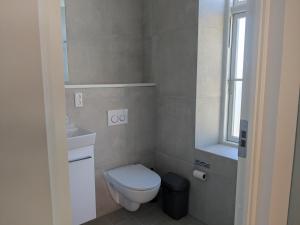 a bathroom with a toilet and a sink and a window at Stubbekøbing City View Stopover in Stubbekøbing +7 photos