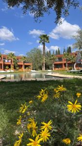 a group of yellow flowers in the grass at MVIEW Villas in Marrakesh