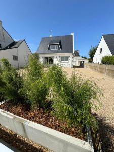a house with a bunch of plants in front of it at Maison proche centre ville in Quiberon
