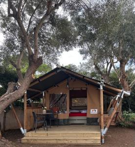 a house with a wooden porch under a tree at GLAMPING by SUNBEAM in Leporano Marina +12 photos