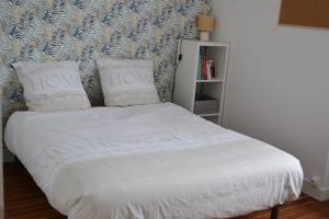 a bed with two pillows on it in a room at Gîte les Grands Orangers in Melle