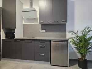 a kitchen with gray cabinets and a potted plant at Penzión ANTRACIT in Štúrovo