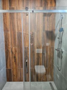 a shower with a glass door in a bathroom at Penzión ANTRACIT in Štúrovo +32 photos