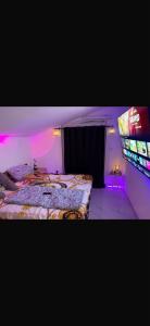 a bedroom with two beds and a tv in a room at Apartmani Rubi 2 in Herceg-Novi