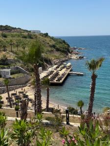 a view of a beach with palm trees and a dock at Beachfront Villa with private beach and pool in Bogazici