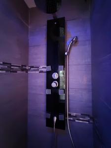 a bathroom with a shower in a purple room at Appartement tout confort avec balnéo et lit king size in Pézenas