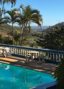 a pool with a view of the mountains and palm trees at Pousada Desfiladeiro da Serra in Serra Negra
