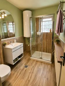 a bathroom with a shower and a sink and a toilet at Sefira Homes G in Keszthely +8 photos
