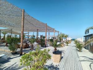 a resort with a beach with palm trees and umbrellas at Lotus 7 Silver in Mamaia