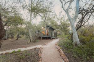 a tree house in the middle of a forest at The Explorers Camp in Renos