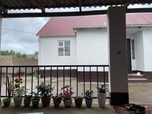 a group of potted plants on a fence in front of a house at Kutbi Guest House in Bokonbayevo