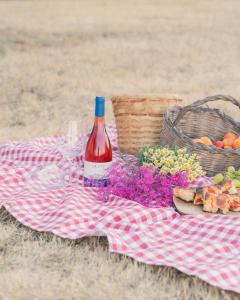 a picnic with a bottle of wine and a basket of fruit at Tenuta Doxi in Gallipoli +93 photos