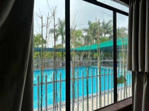 a view of a swimming pool from a window at Palette Sunset Garden Tam Coc in Ninh Binh +19 photos