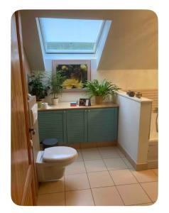 a bathroom with a toilet and a fish tank at chambre dans les bois in Namur