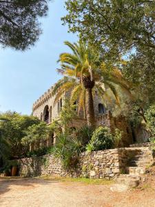 a palm tree in front of a stone building at La Boîte Rose - Studio plage de l'Almanarre in Hyères