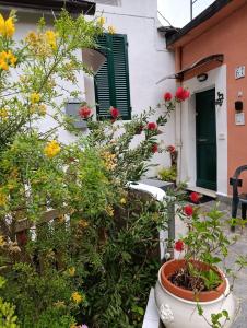 a garden with flowers in a pot in front of a building at LINO'S HOUSE in Sori