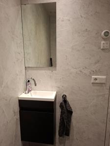 a bathroom with a sink and a mirror at Weerribben Wieden gastenverblijf in Wanneperveen +23 photos