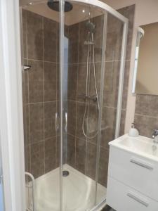 a shower with a glass door next to a sink at le studio de la salamandre in Cadillac