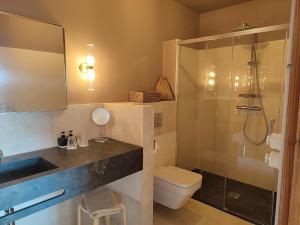 a bathroom with a toilet and a sink and a shower at Villa Caroline - Chambres d'Hôtes in Albi