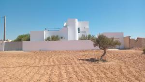 a small tree in the middle of a dirt field at villa mellita in Mellita