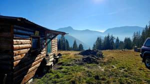 a log cabin in a field with a car parked next to it at Ivovik in Rožaje