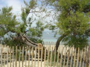 a fence on a beach with a tree behind it at Villa La Begude - Boutique B&B in Saint-Tropez