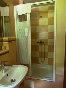 a bathroom with a shower and a sink at Park hotel SVYAT in Skole