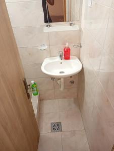 a small bathroom with a sink and a mirror at Mia in Glavatske Kućice
