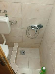a bathroom with a shower with a sink and a toilet at Mia in Glavatske Kućice