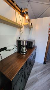 a kitchen with a counter with a microwave on it at Dôme Romanov in Saint-René-de-Matane