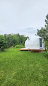 a tent in a field of green grass at Dôme Romanov in Saint-René-de-Matane