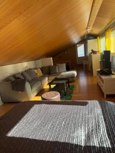 a living room with a couch and a tv at Villa Aurora in Rovaniemi +18 photos