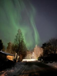 an aurora in the sky over a snow covered road at Villa Aurora in Rovaniemi