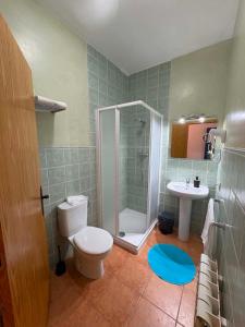 a bathroom with a toilet and a shower and a sink at Casa Rural Tronchon in Tronchón