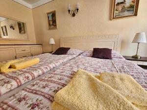 two beds sitting next to each other in a bedroom at Mini Apart Hotel Abraka in Český Krumlov