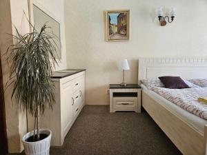 a bedroom with a bed and a potted plant at Mini Apart Hotel Abraka in Český Krumlov +38 photos