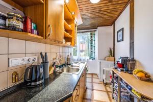 a kitchen with a sink and a counter top at Chlúpka u Luisa in Telgárt +23 photos
