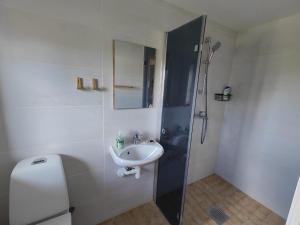 ein Badezimmer mit Toilette, Waschbecken und Dusche in der Unterkunft Tamme in Otepää