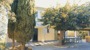 two trees in the courtyard of a house at Villa JuliMée in Les Issambres