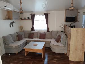 a living room with a couch and a coffee table at Le Deauville in Le Grau-dʼAgde