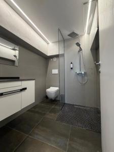 a bathroom with a toilet and a glass shower at ALZETA Aparthotel in Durrës +57 photos
