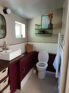 a bathroom with a white toilet and a sink at Maisonnette à la campagne in La Couyère +6 photos