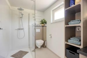 a bathroom with a toilet and a glass shower at B&B Cosiness in Balen